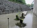 Nakaniwa Nakaniwa